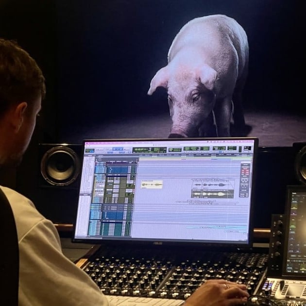 Considerate Pig Consciousness Marketing campaign – Elevating Consciousness on Pig Welfare